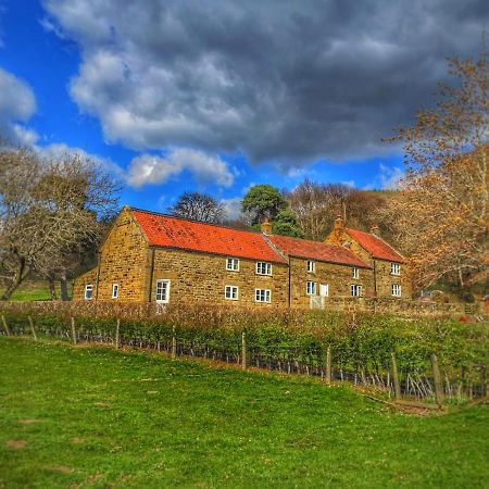 Bed and Breakfast Park House Ingleby Arncliffe Exterior foto