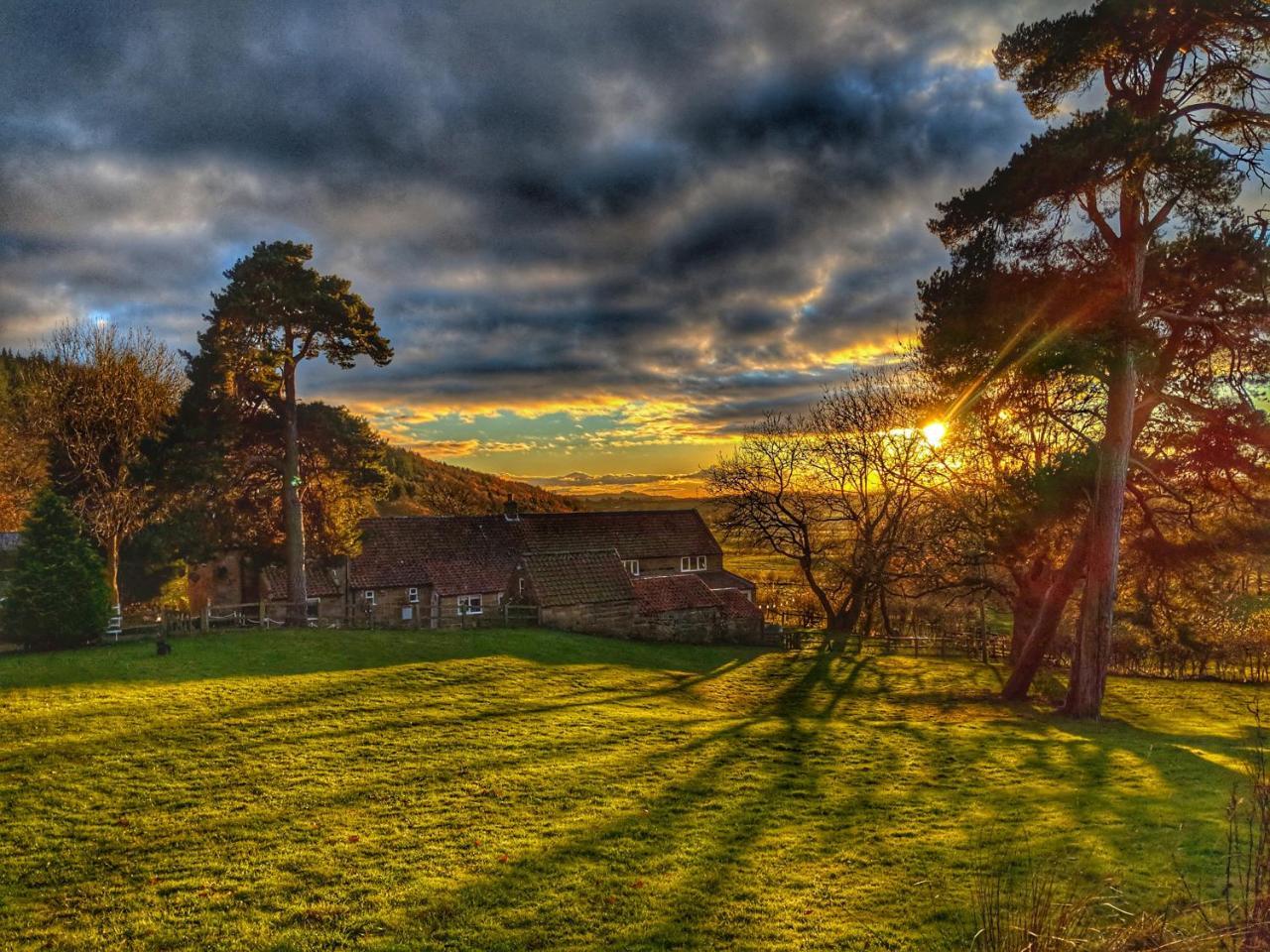 Bed and Breakfast Park House Ingleby Arncliffe Exterior foto