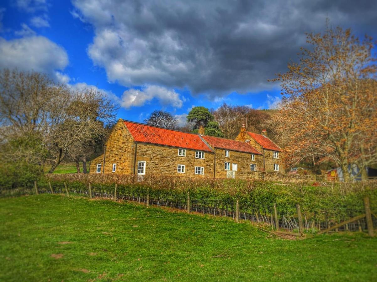 Bed and Breakfast Park House Ingleby Arncliffe Exterior foto